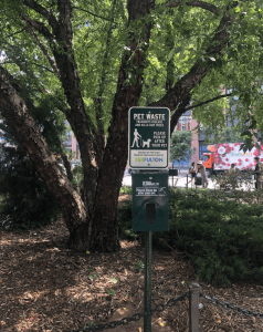 Pet waster station at Gates Avenue Triangle